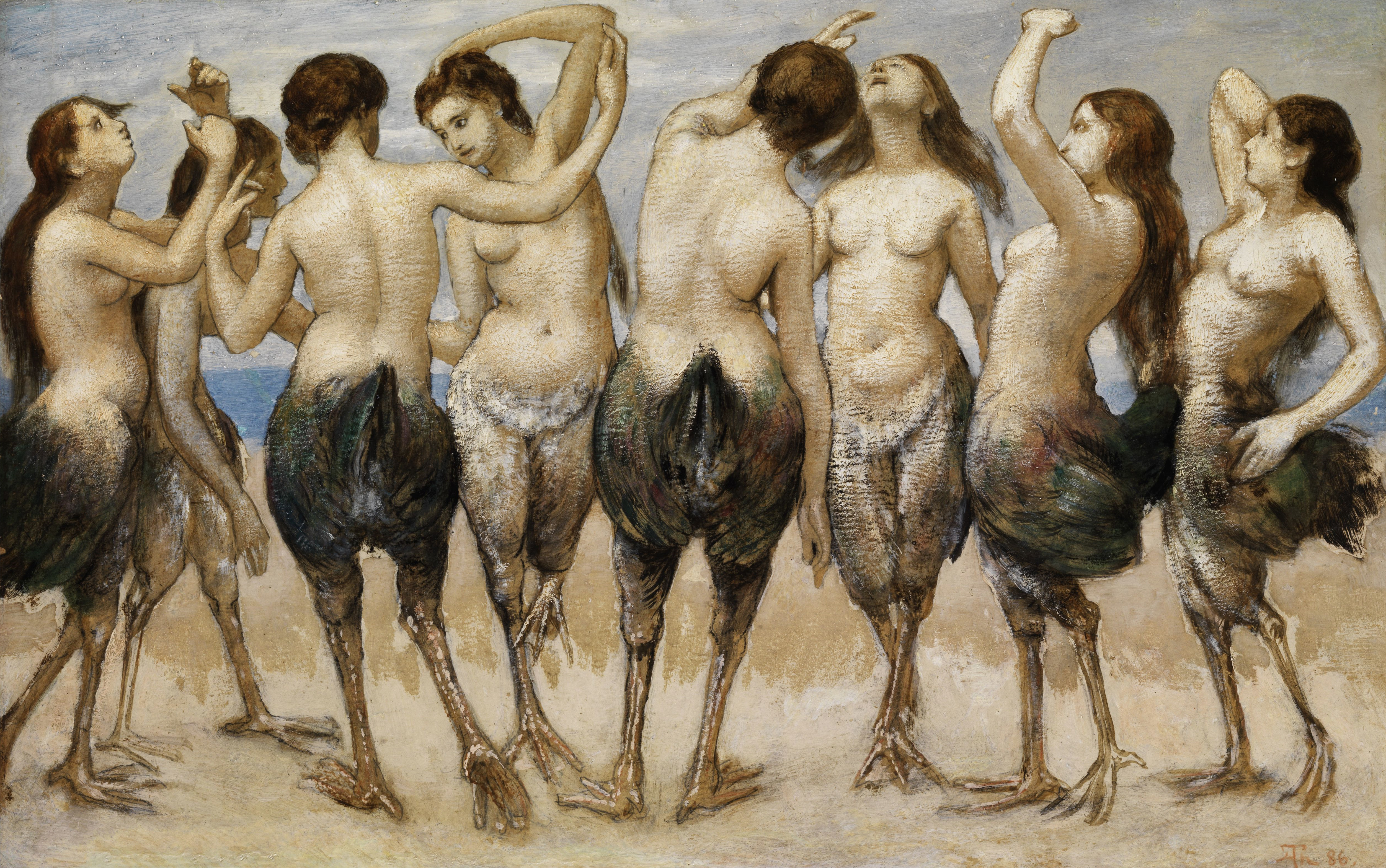 Dancing harpies
